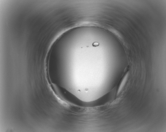 X0000063491430200602101821