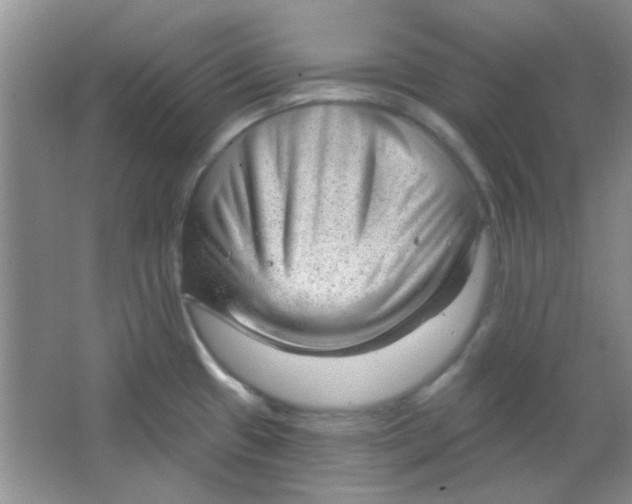 X0000063491433200602101821