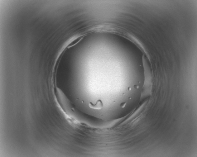 X0000063491434200602101821