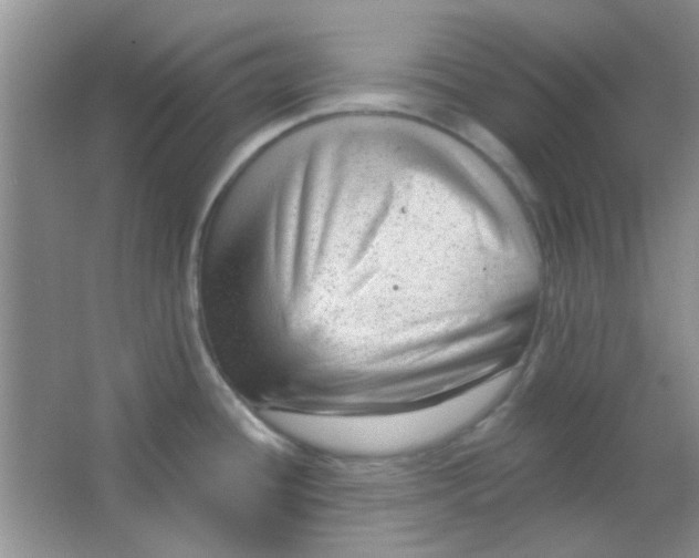 X0000063491436200602101821