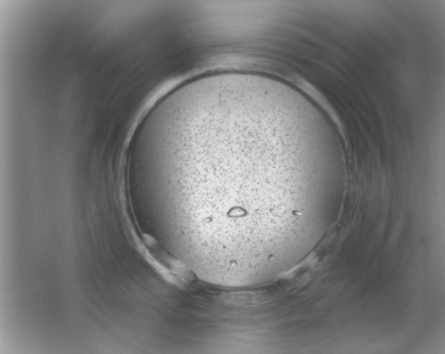 X0000063491437200602101821