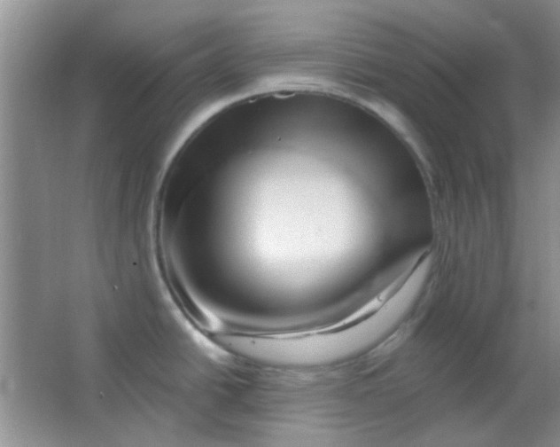 X0000063491438200602101821