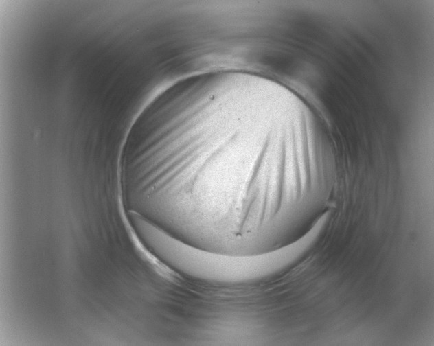 X0000063491439200602101821