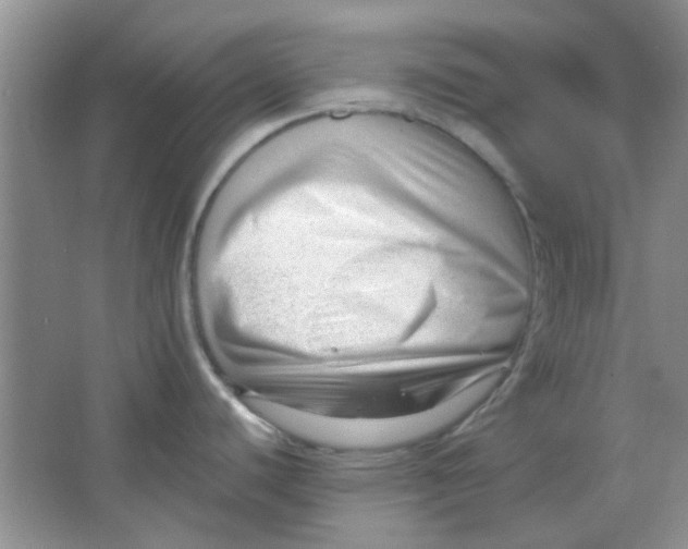 X0000063491440200602101822