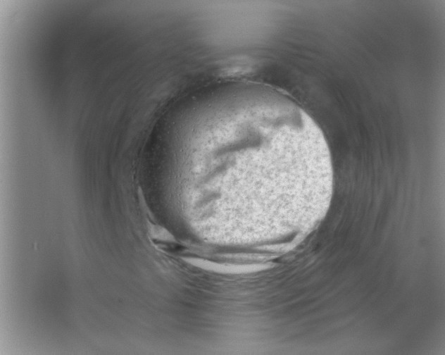 X0000063491441200602101821