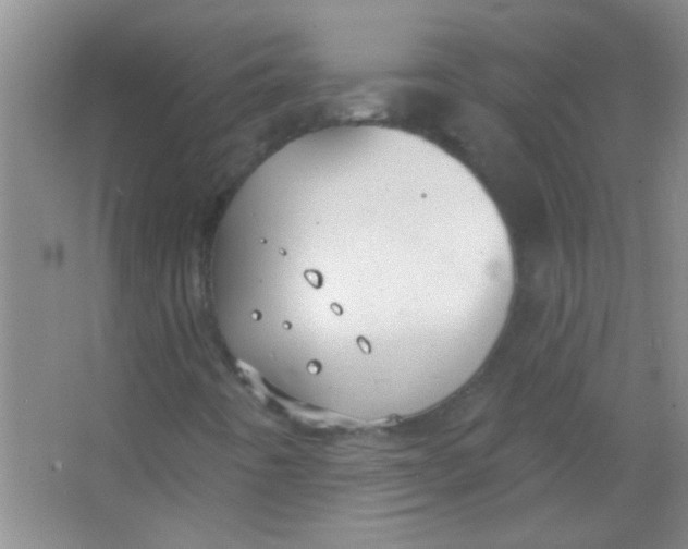 X0000063491442200602101821