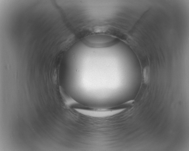 X0000063491443200602101821