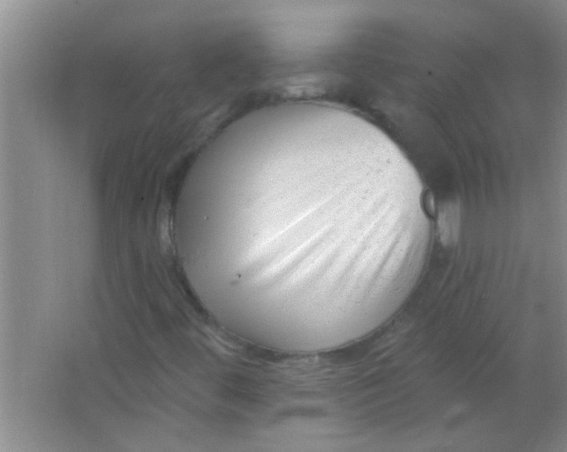 X0000063491444200602101821