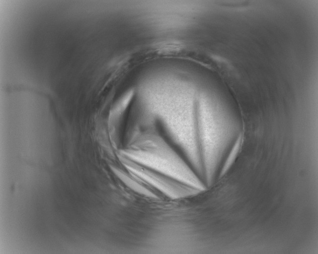 X0000063491445200602101821