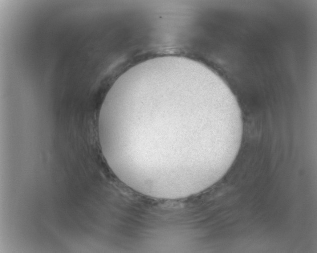 X0000063491446200602101821