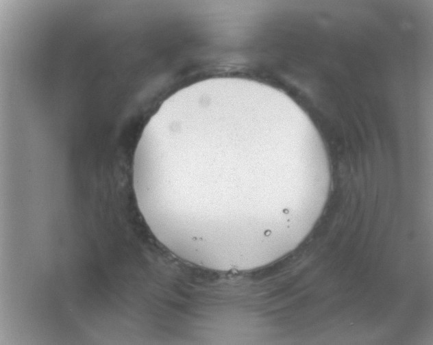 X0000063491447200602101821