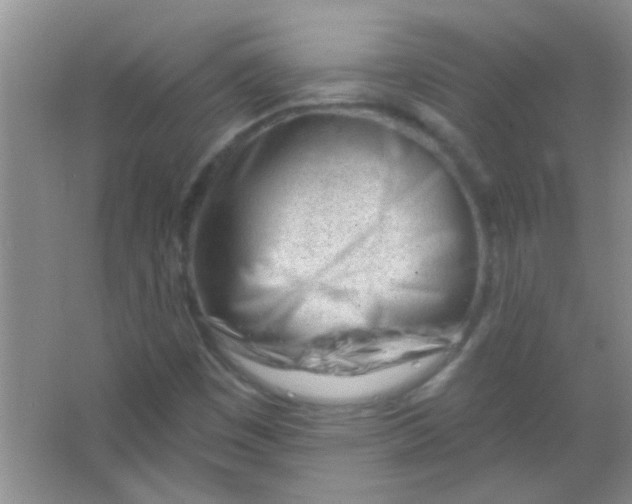 X0000063491449200602101821