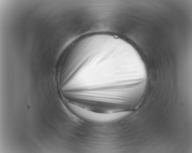 X0000063491452200602101821