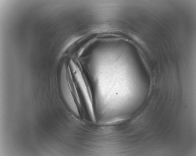 X0000063491453200602101820