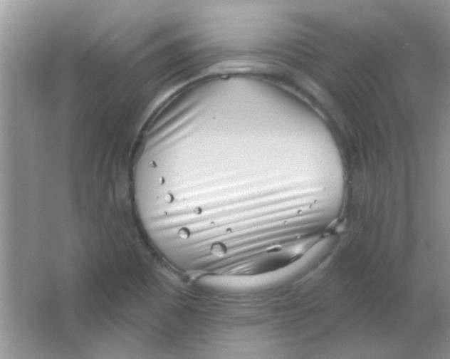 X0000063491465200602101820