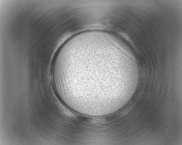 X0000063491466200602101820