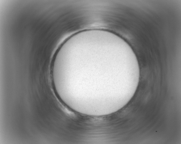 X0000063491470200602101820