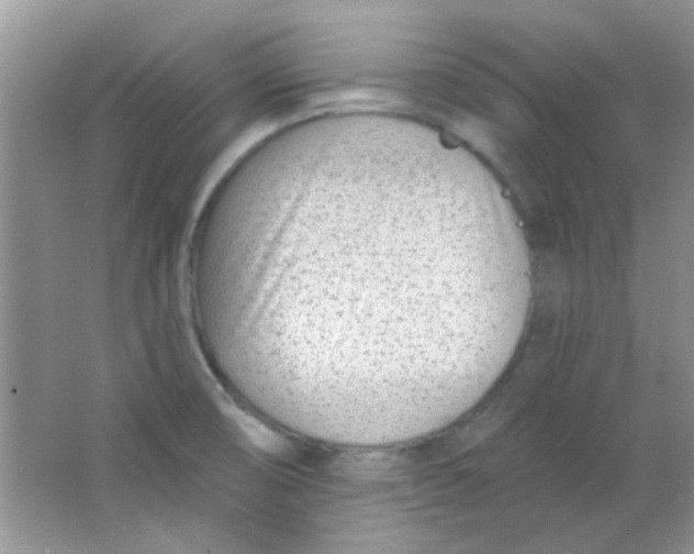 X0000063491474200602101820