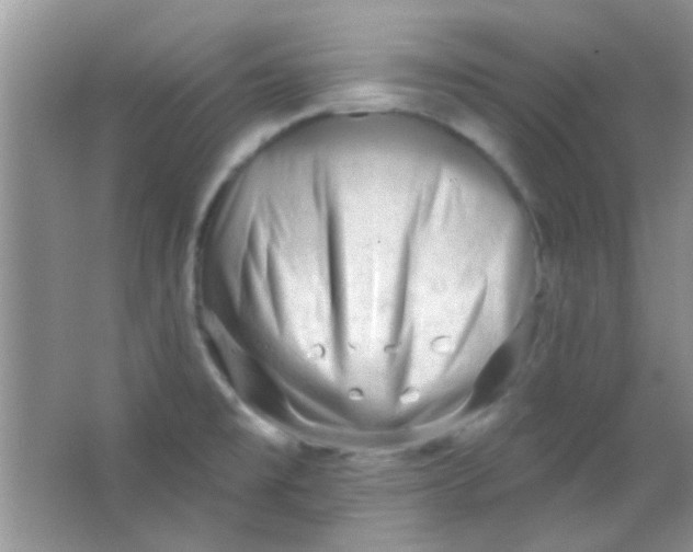 X0000063491477200602101820