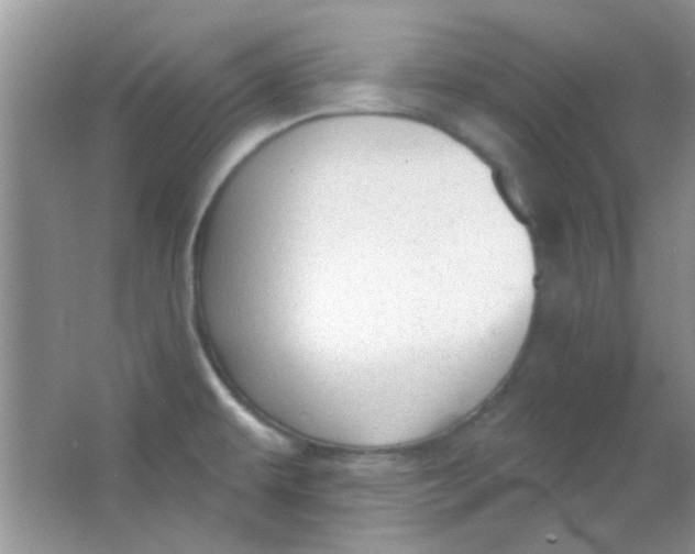 X0000063491479200602101820