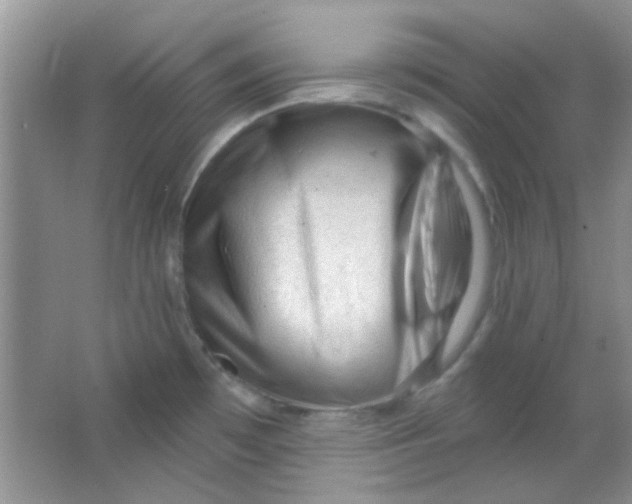 X0000063491481200602101820