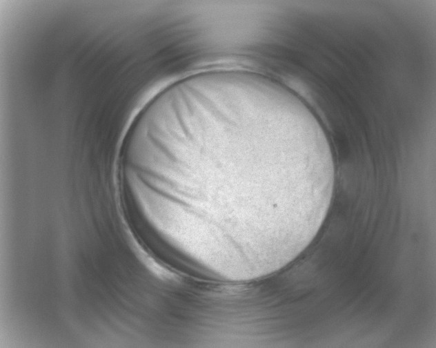 X0000063491482200602101820