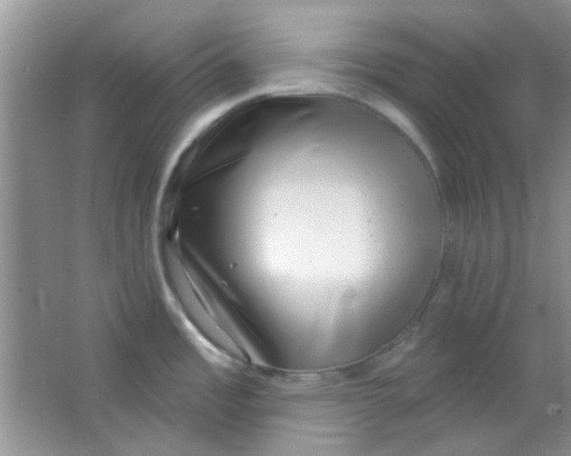 X0000063491485200602101820