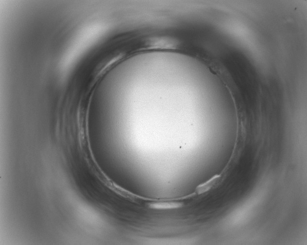 X0000063491487200602101820