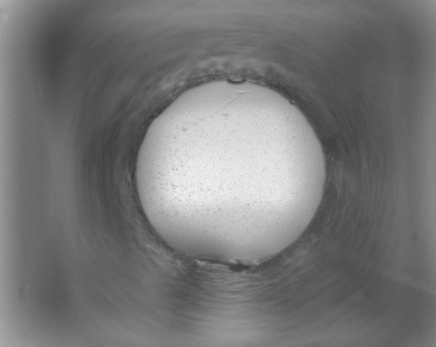 X0000063491489200602101819