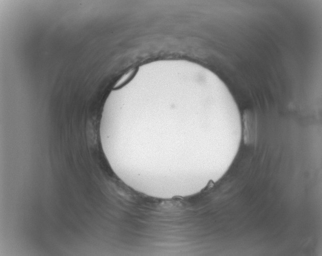 X0000063491491200602101819