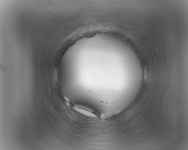 X0000063491492200602101819