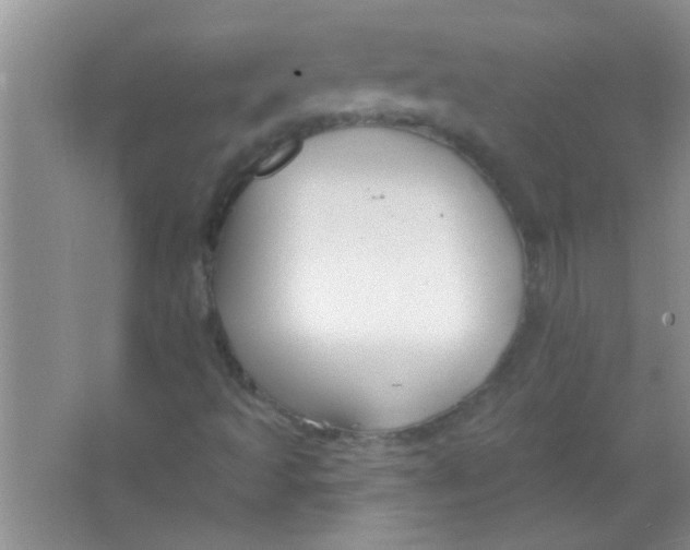 X0000063491493200602101819