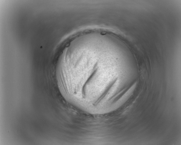 X0000063491494200602101819