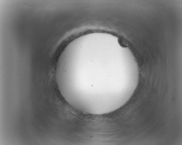 X0000063491495200602101819