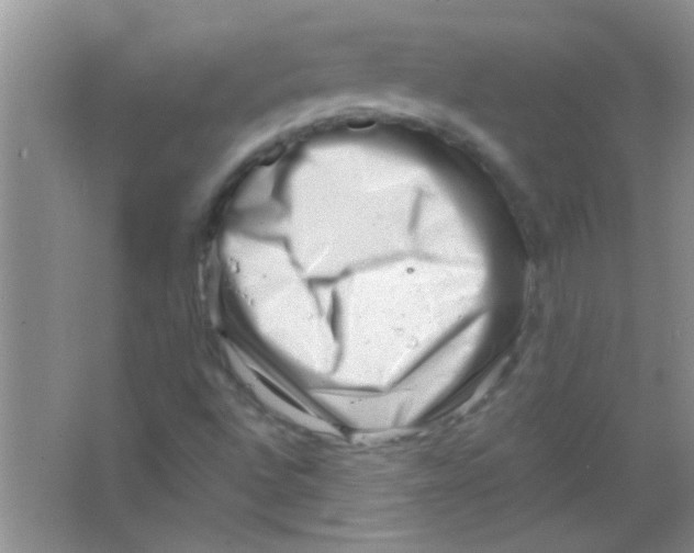 X0000063491496200602101819