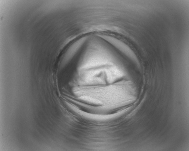 X0000063491497200602101819