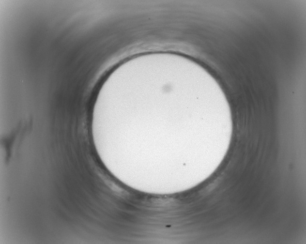 X0000063491498200602101819