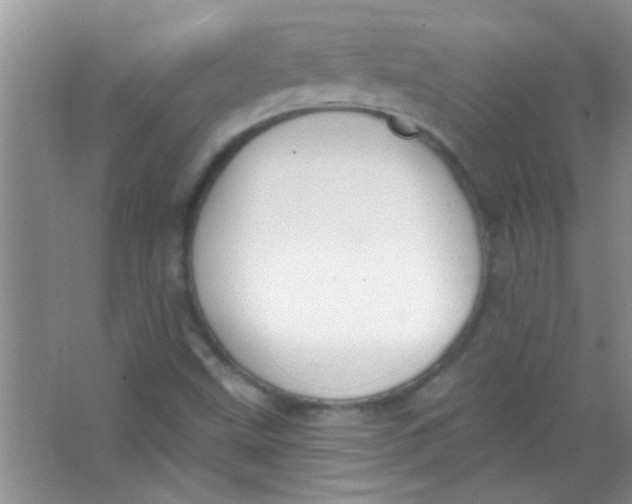 X0000063491499200602101819