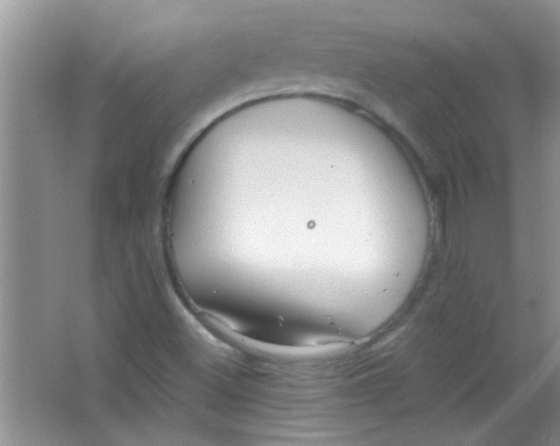 X0000063491500200602101819