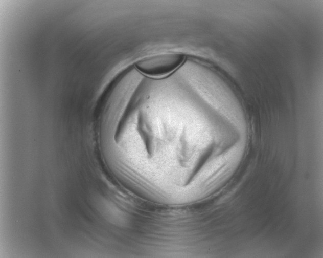 X0000063491501200602101819