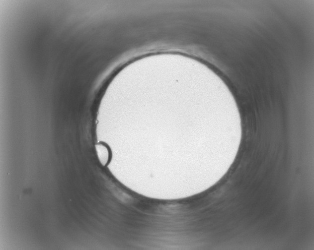 X0000063491502200602101819