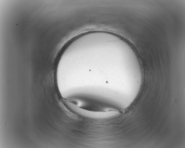 X0000063491503200602101819