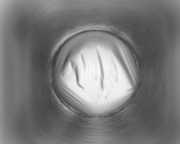 X0000063491504200602101819