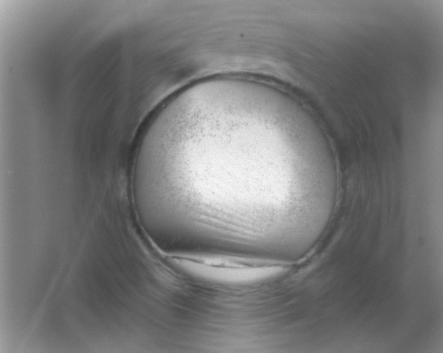 X0000063491505200602101819