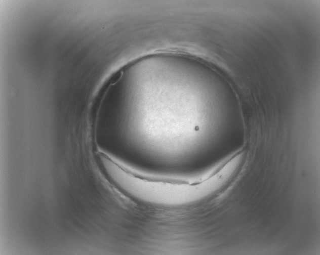 X0000063491506200602101819