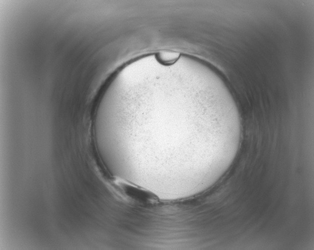 X0000063491507200602101819