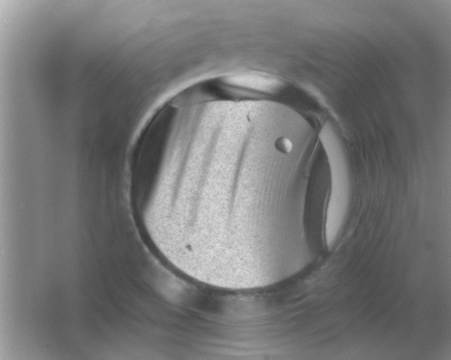 X0000063491508200602101819