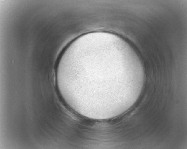 X0000063491509200602101819