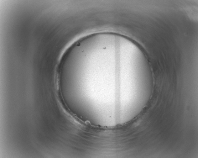 X0000063491510200602101819