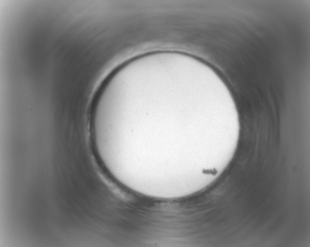 X0000063491511200602101819